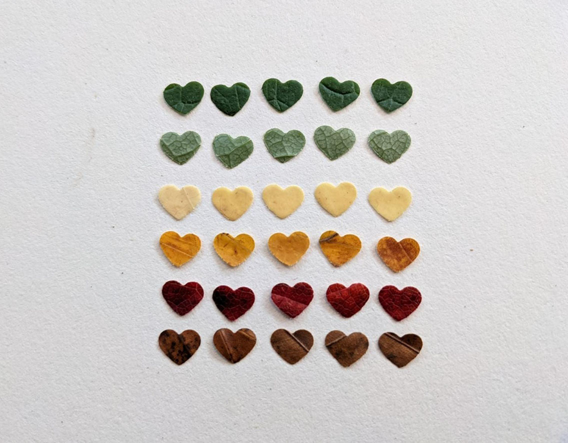 Zelf natuurlijke duurzame confetti maken • Met Zonder Jas