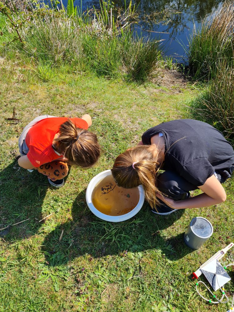 Slootjesdag is een leuke activteit om samen met het gezin te doen. Je hebt alleen een netje en een watertje nodig!