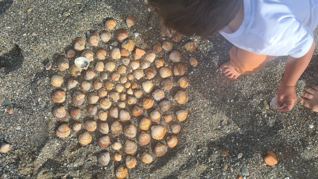 Een schelpen mandala maken op het strand. Rustgevende activiteit voor in de zomer, op het strand of op een kiezelstrand