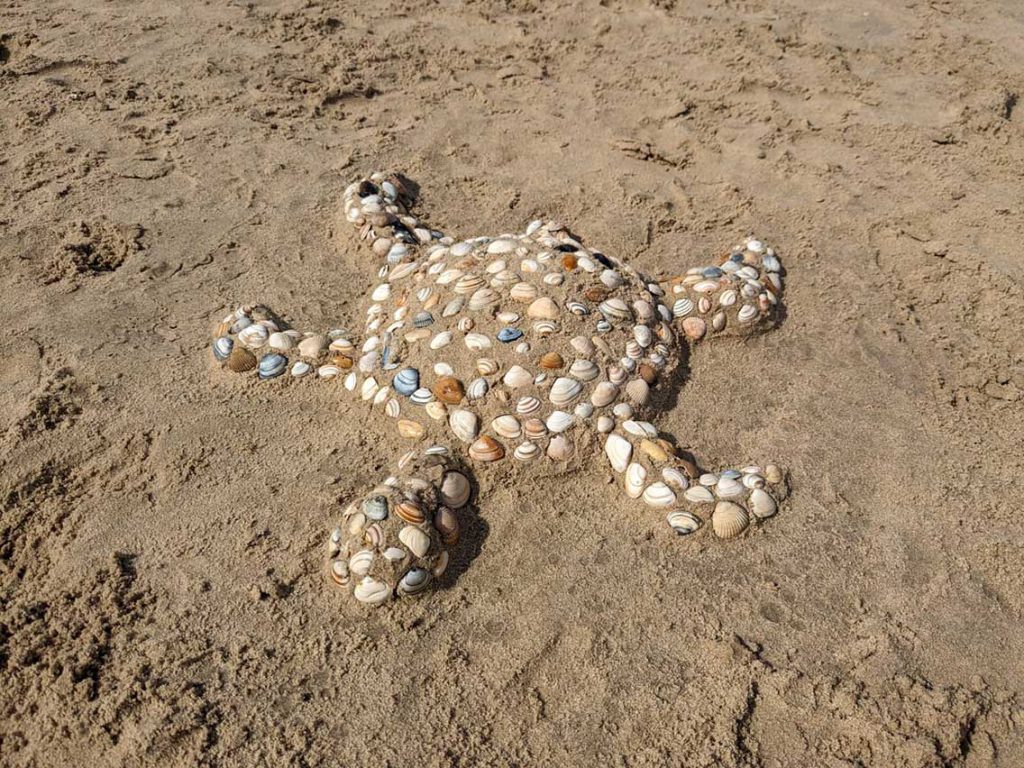 strandspellen om samen te doen. Deze schildpad maakt zeker een aantal mensen blij!
