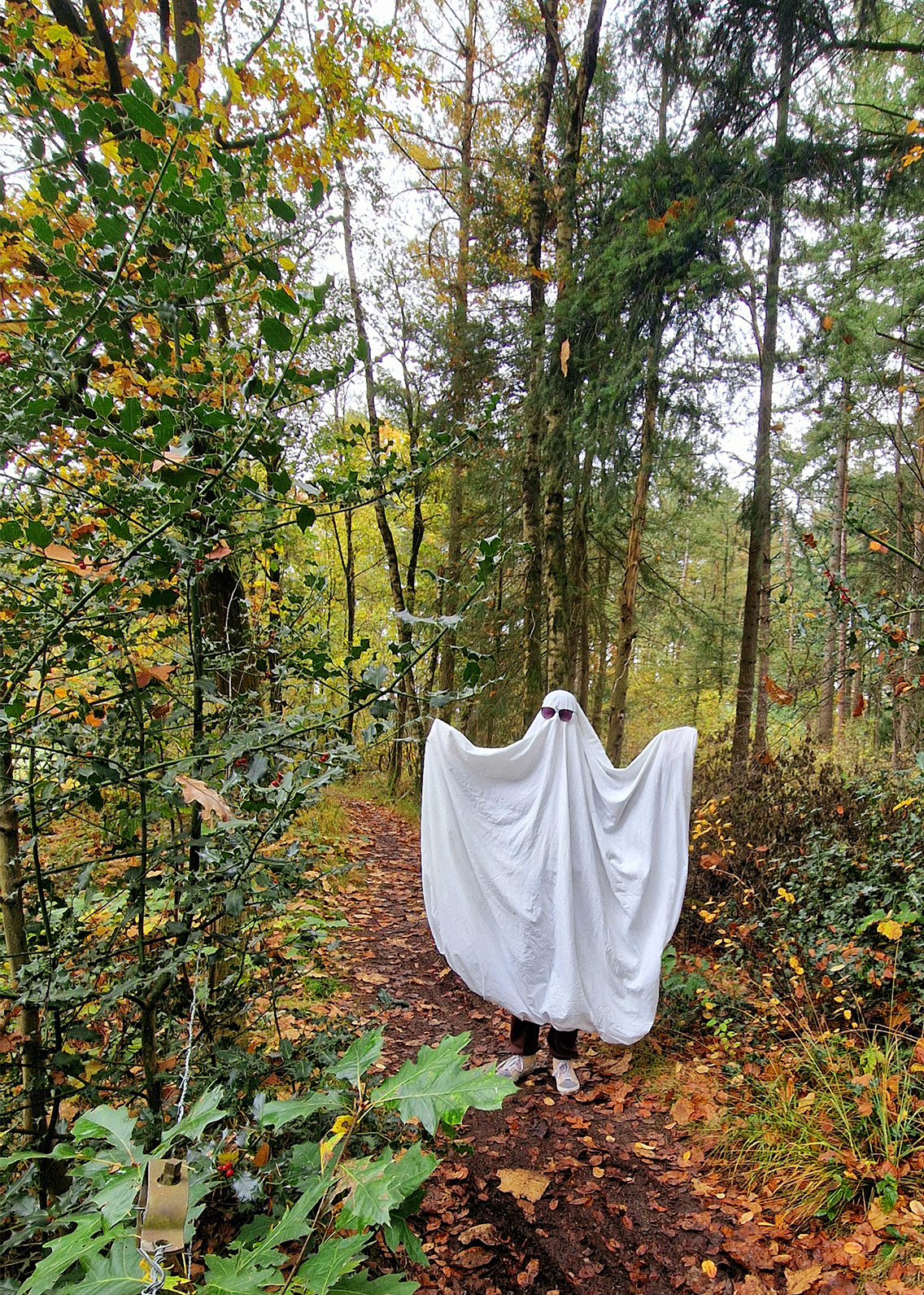 Spookjes in het bos - halloween