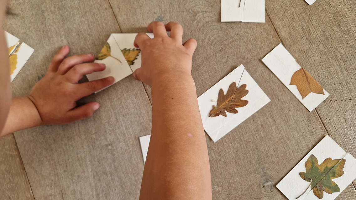 Diy puzzel van bladeren. Leuke herfstactiviteit