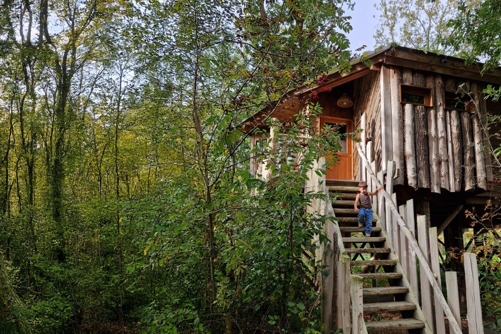 Unieke overnachting in Drenthe, boomhut Echten Westerberg