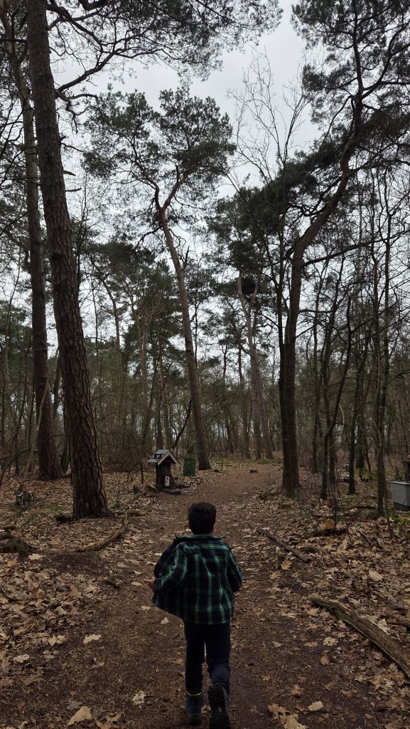 Knikkerbaan in het bos van Vroomshoop, Overijssel - Met Zonder Jas