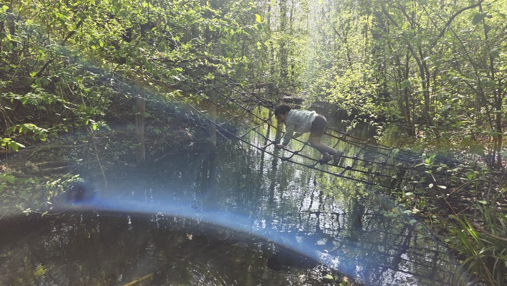 Het belevenissenbos in Lelystad