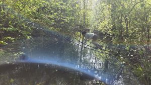 Het belevenissenbos in Lelystad